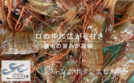 8-048-001　【北海道産】冷凍ジャンボボタンエビ800g（7尾～11尾）