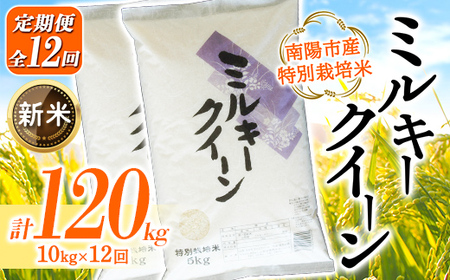 【令和8年産 新米 先行予約】【金賞受賞農家】《定期便12回》 特別栽培米 ミルキークイーン 計10kg(5kg×2袋)×12か月《令和8年9月下旬～発送》 『あおきライスファーム』[2417-R8]