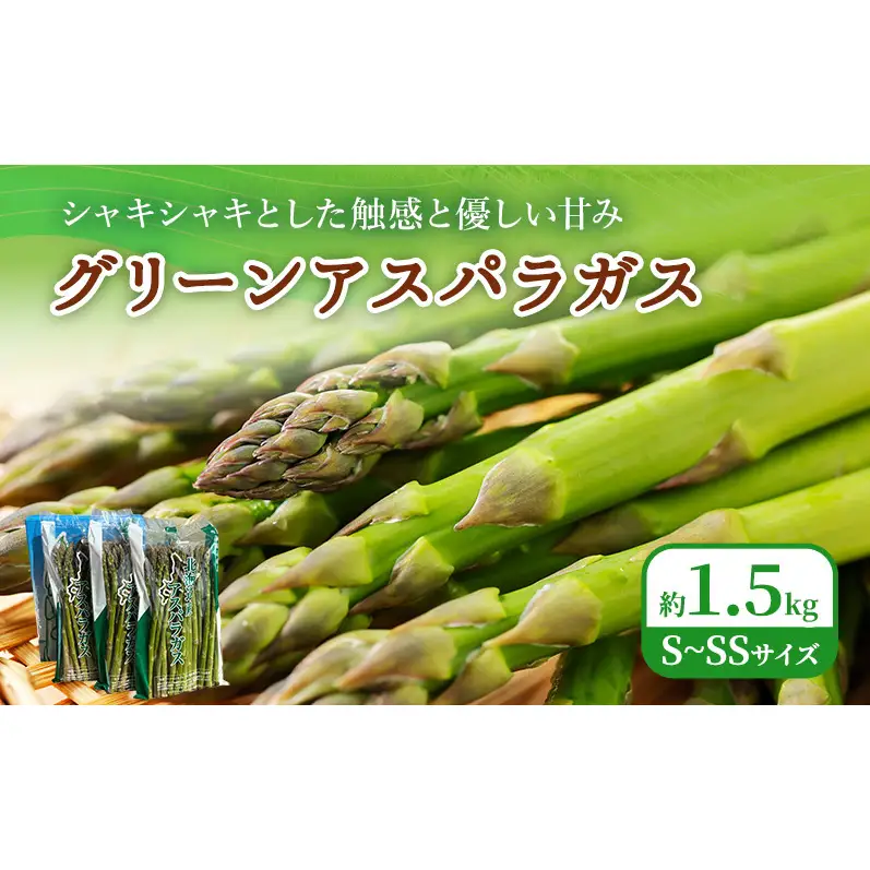2027年春発送！ふらの グリーンアスパラ 約1.5kg [ 数量限定 先着順 アスパラ アスパラガス 野菜 新鮮 直送 北海道 富良野 ]