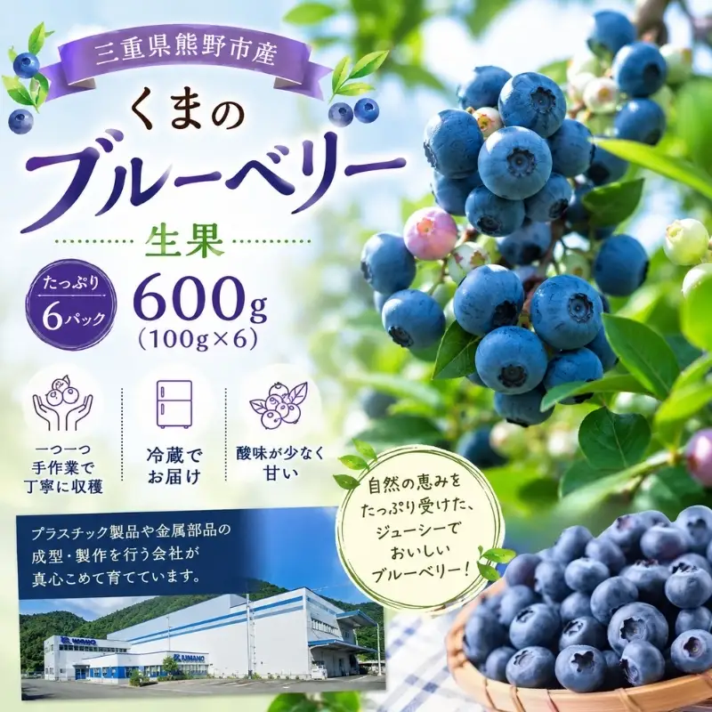 【先行受付】くまのブルーベリー 生果 600g(100g×6) フルーツ 果物 くだもの スムージー ジャム 朝食 デザート 特産品 人気 国産 旬 熊野精工 三重県 熊野市【kmsi0005】