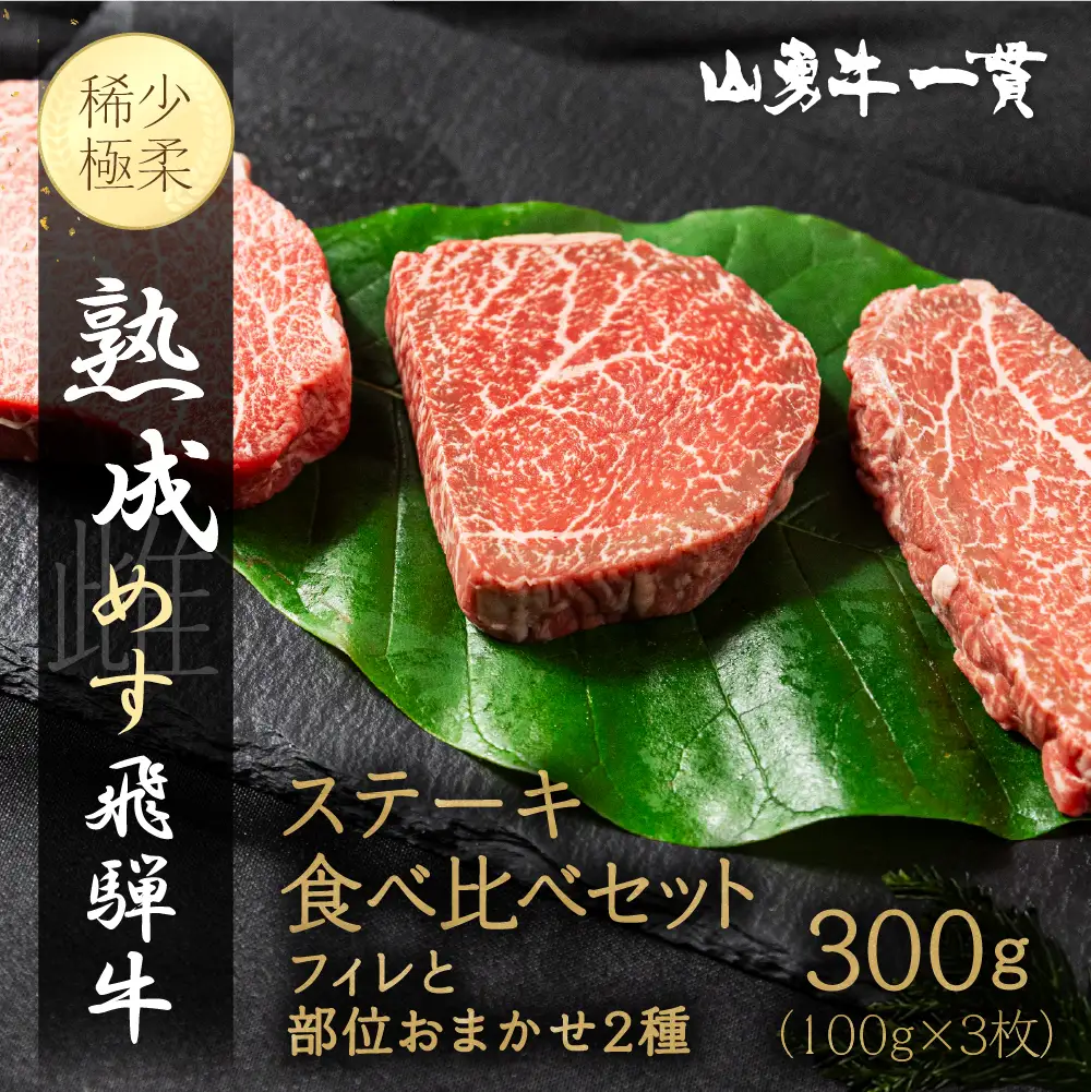 熟成めす 飛騨牛 山勇牛 フィレとおすすめ部位 2種 ステーキ 食べ比べ セット 100g×3 飛騨牛 ステーキ 食べ比べ