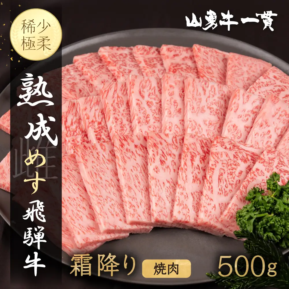 熟成めす 飛騨牛 山勇牛 焼肉 霜降り 500g 飛騨牛 焼肉 霜降り