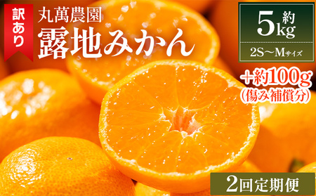 【２回定期便】みかん 5kg 柑橘詰合せ 先行受付 みかん Ｗmn-0017