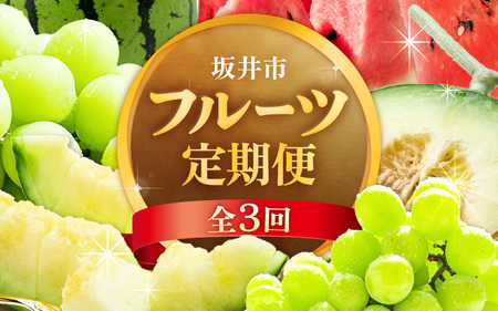 【先行予約】【定期便 3回コース】坂井市フルーツ三昧！！お試し3回コース (アールスメロン1玉 ＆ シャインマスカット1房 ＆ 大玉スイカ1玉) 【2027年6月中旬以降順次発送予定】 [E-3216]