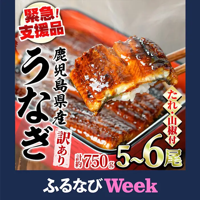【ふるなびWEEK対象】＜訳あり＞鰻の蒲焼き(無頭)(5～6尾・計約750g・タレ、山椒付) うなぎ ウナギ 鰻 国産 蒲焼 蒲焼き たれ 鹿児島 ふるさと 人気 支援 【アクアおおすみ】【0174365a】