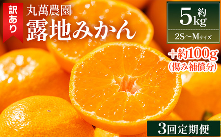 【３回定期便】みかん 5kg 柑橘詰合せ 先行受付 みかん Wmn-0018