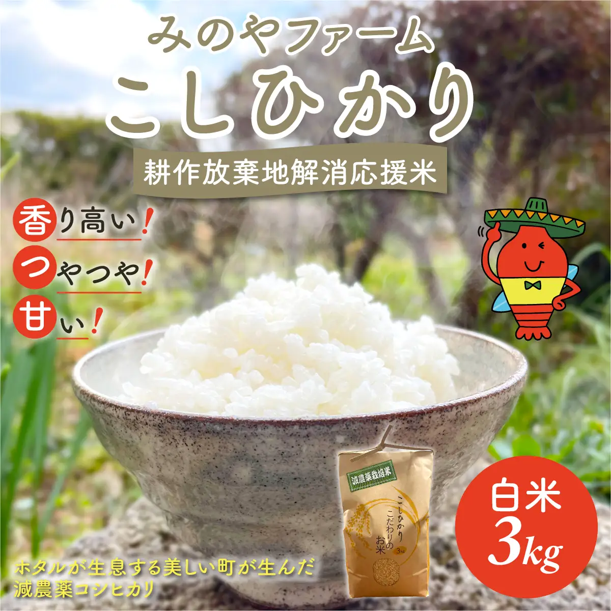 みのやファーム耕作放棄地解消応援米　こしひかり　3ｋｇ（白米）ONJF002