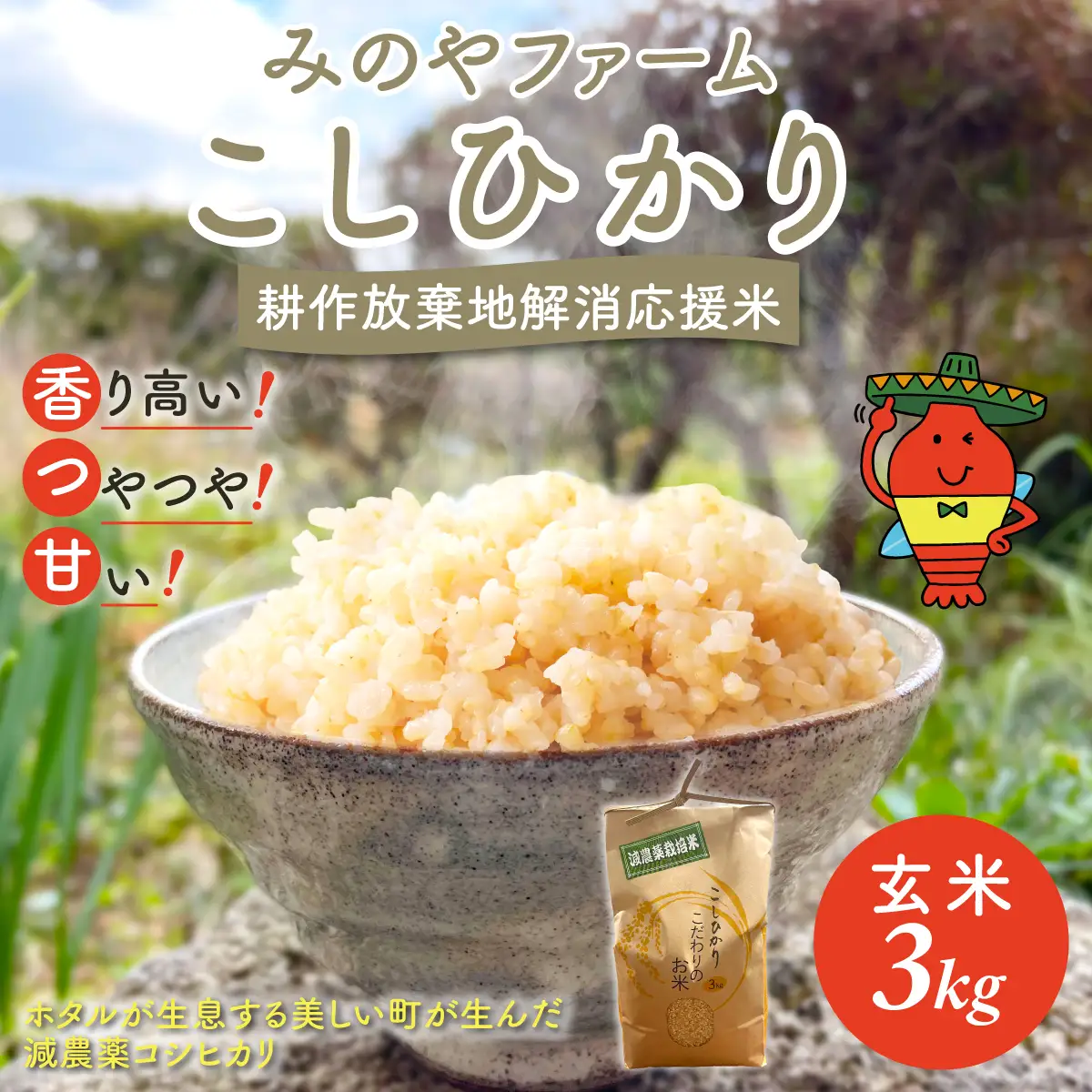 みのやファーム耕作放棄地解消応援米　こしひかり　3ｋｇ（玄米）ONJF005