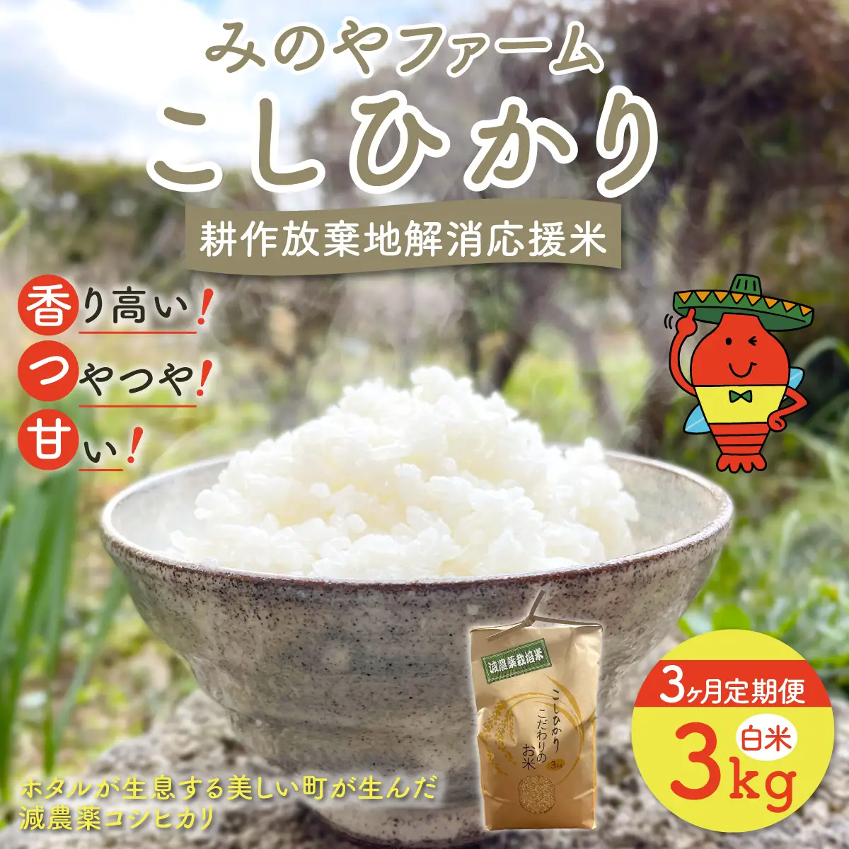【3ヶ月定期便】みのやファーム耕作放棄地解消応援米　こしひかり　3ｋｇ（白米）ONJF008