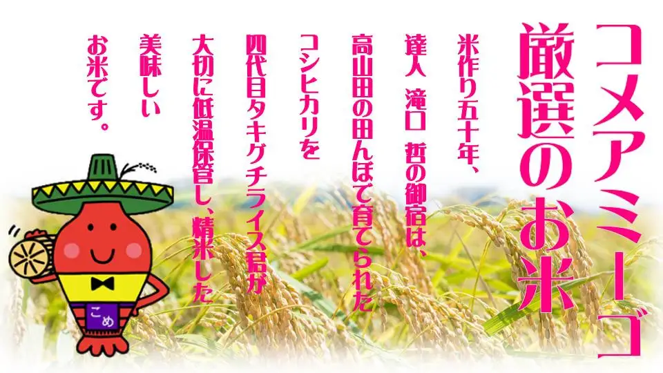 E402 コメアミーゴこだわりのいすみ米コシヒカリ３０ｋｇ（玄米） ONJE005