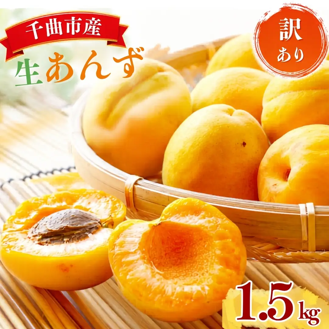【2027年先行予約】加工用(訳あり)生あんず 1.5kg | あんず 長野県千曲市産 