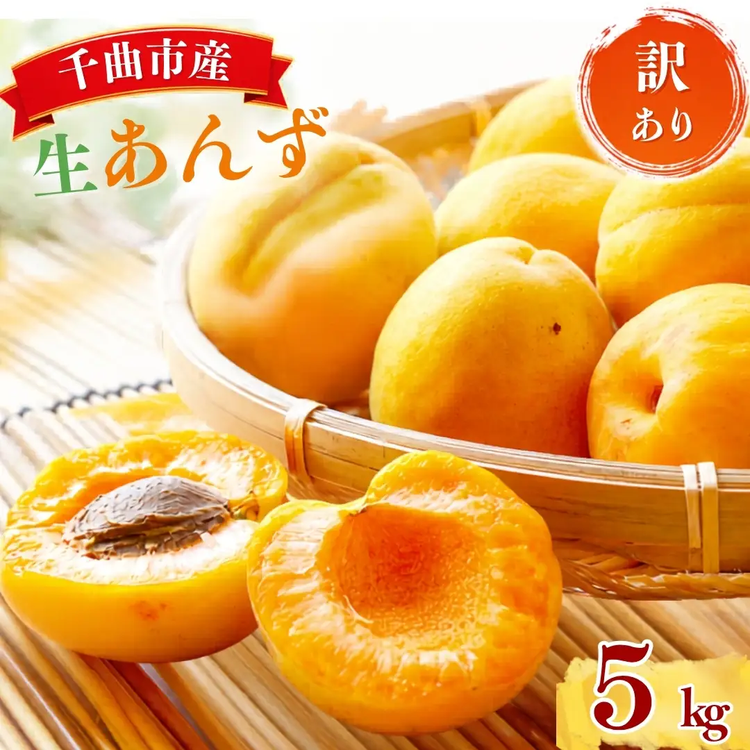 【2027年先行予約】加工用(訳あり)生あんず 5kg | あんず 長野県千曲市産 