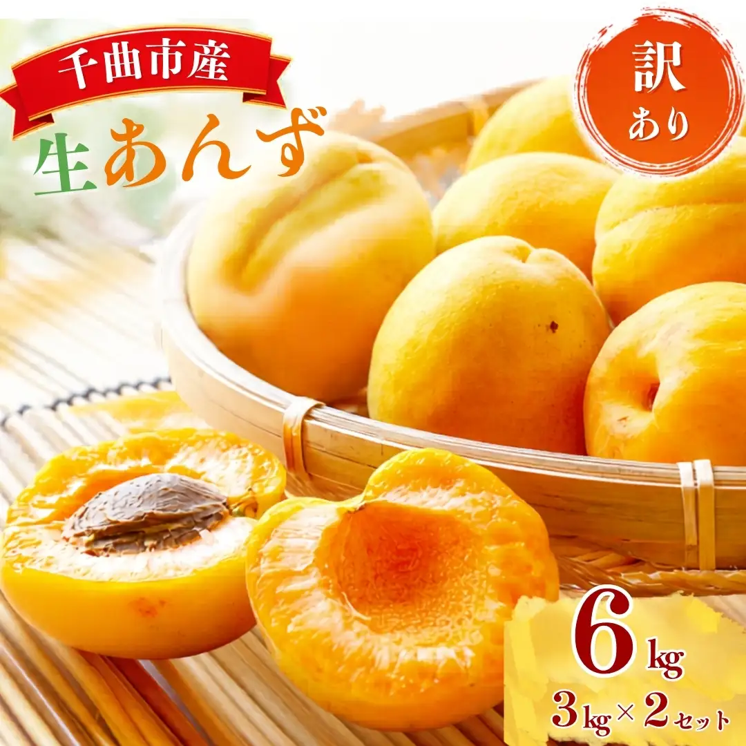 【2027年先行予約】加工用(訳あり)生あんず 6kg(3kg×2) | あんず 長野県千曲市産 