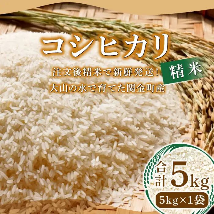 【数量限定】大山の水で育てた関金町産 コシヒカリ 5kg