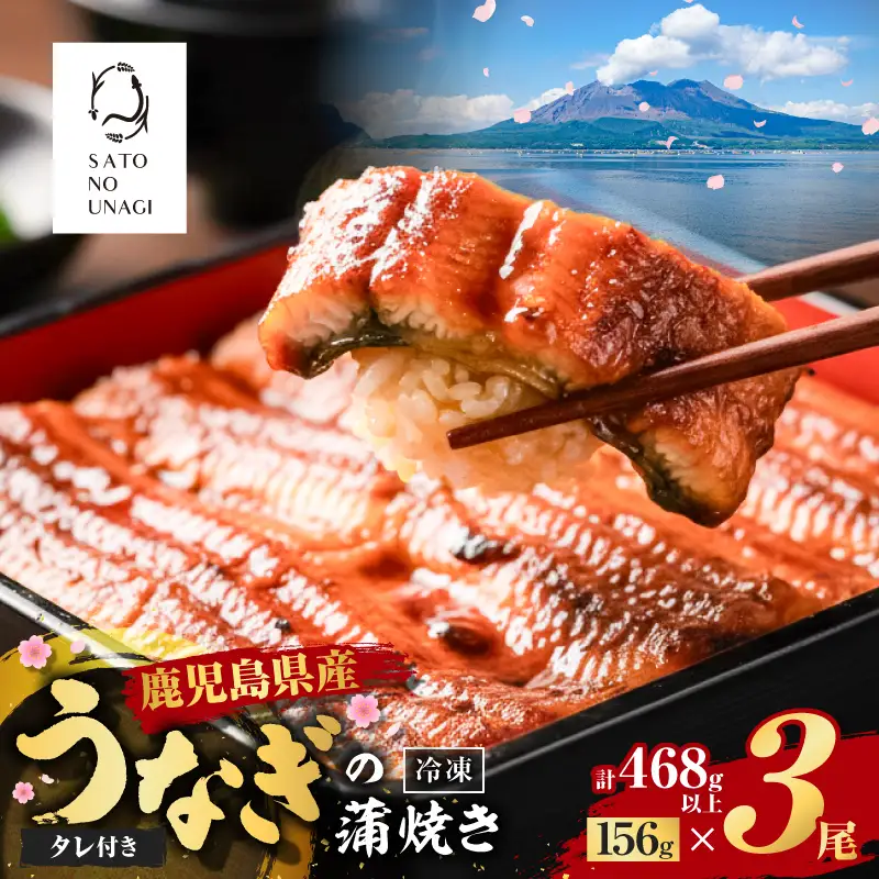 鹿児島県産うなぎ蒲焼 156g×3尾 468g以上 K379-002_01 鰻 ウナギ 惣菜 贅沢