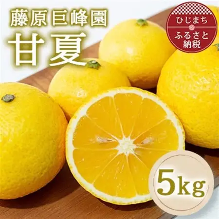 大分県日出町産　甘夏5kg【1727714】