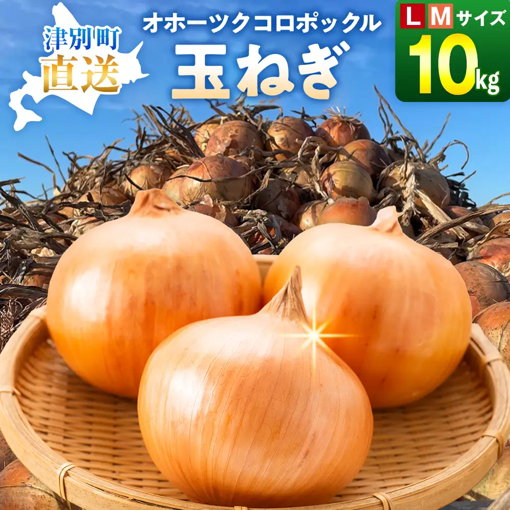 R8年産 玉ねぎ （L玉・М玉混合） 10kg オホーツクコロポックル | 北海道津別町