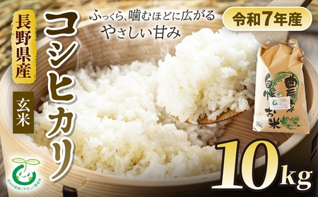 コシヒカリ 特別栽培米 玄米 10kg | そば処こうや