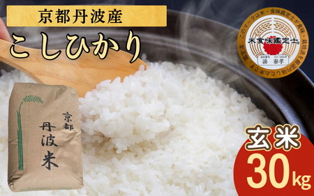 米 コシヒカリ 30kg 京都丹波米 玄米 令和7年産 訳あり 簡易包装