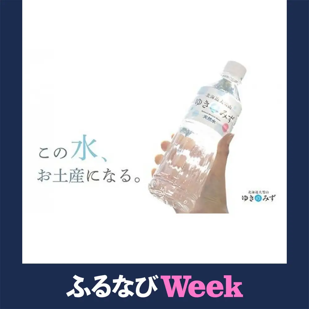 【ふるなびWEEK対象】北海道大雪山ゆきのみず（550ml×24本入り）　1箱|  水 水