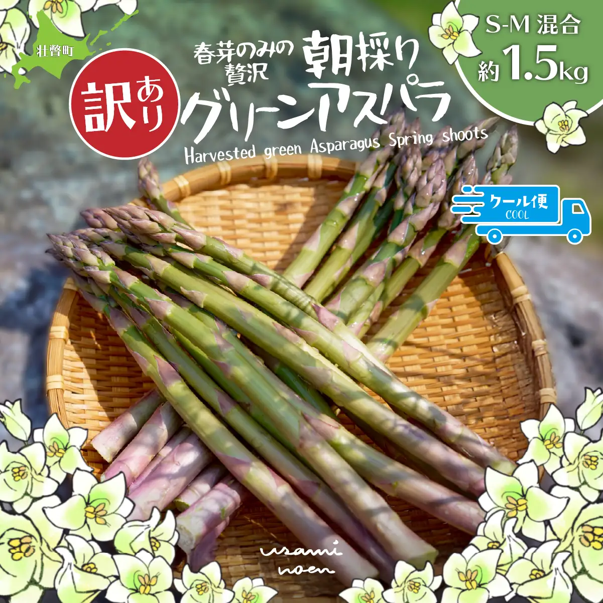 【先行予約】【2027年4月中旬頃より発送】【訳あり】朝採りグリーンアスパラ（春芽）S-M混合 約1.5kg 北海道壮瞥町産 SBTAJ039
