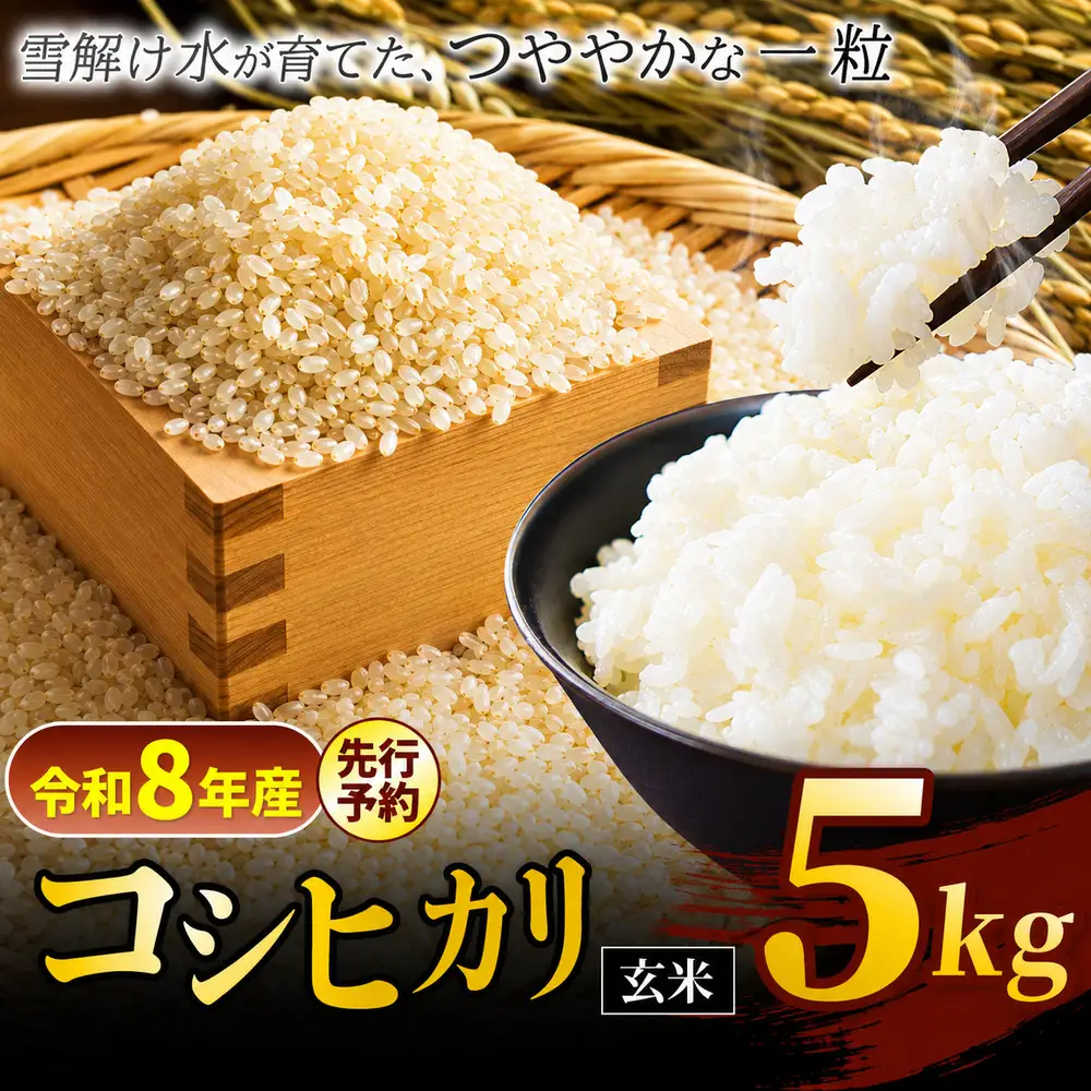 【令和8年産先行予約】『松川村認定農業者』コシヒカリ 玄米 5kg  | 叶屋