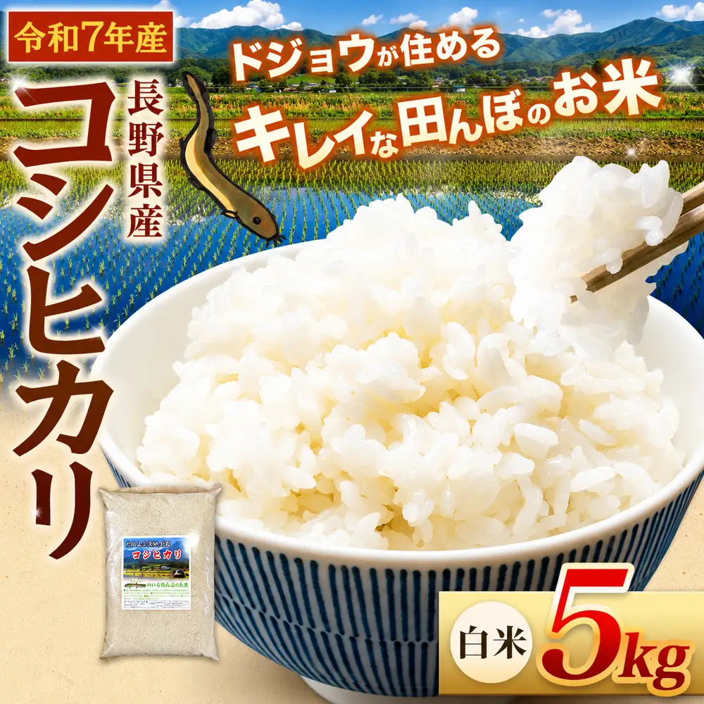 『どじょうのいる田んぼのお米』コシヒカリ 白米 5kg | 馬場農園