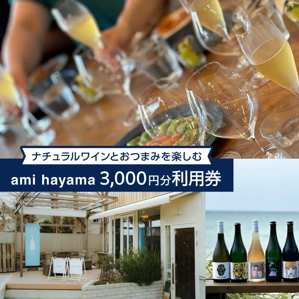 ナチュラルワインとおつまみを楽しむ利用券 3，000円分【ami hayama】[ASBI003]