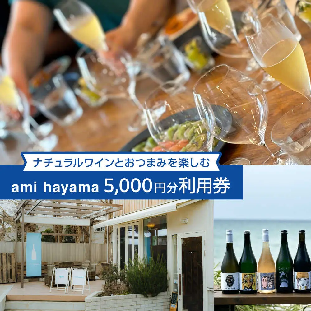 ナチュラルワインとおつまみを楽しむ利用券 5，000円分【ami hayama】[ASBI004]