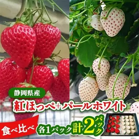 【2027年発送先行受付】静岡県産いちご　赤＆白イチゴ　食べ比べ2パック【配送不可地域：離島・北海道・沖縄県・東北・中国・四国・九州】【1127878】