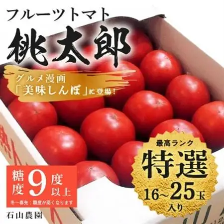 【先行受付2027年発送】美味しんぼに登場　トマト「桃太郎」大箱 16玉～25玉　特選　糖度9度以上【配送不可地域：離島・沖縄県】【1604229】
