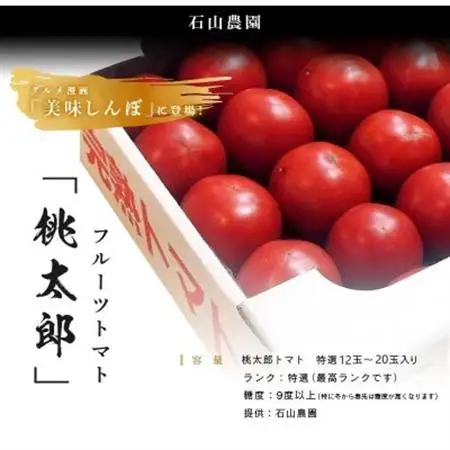【先行受付2027年発送】美味しんぼに登場　トマト「桃太郎」大箱 12玉～20玉　特選　糖度9度以上【配送不可地域：離島・沖縄県】【1604237】