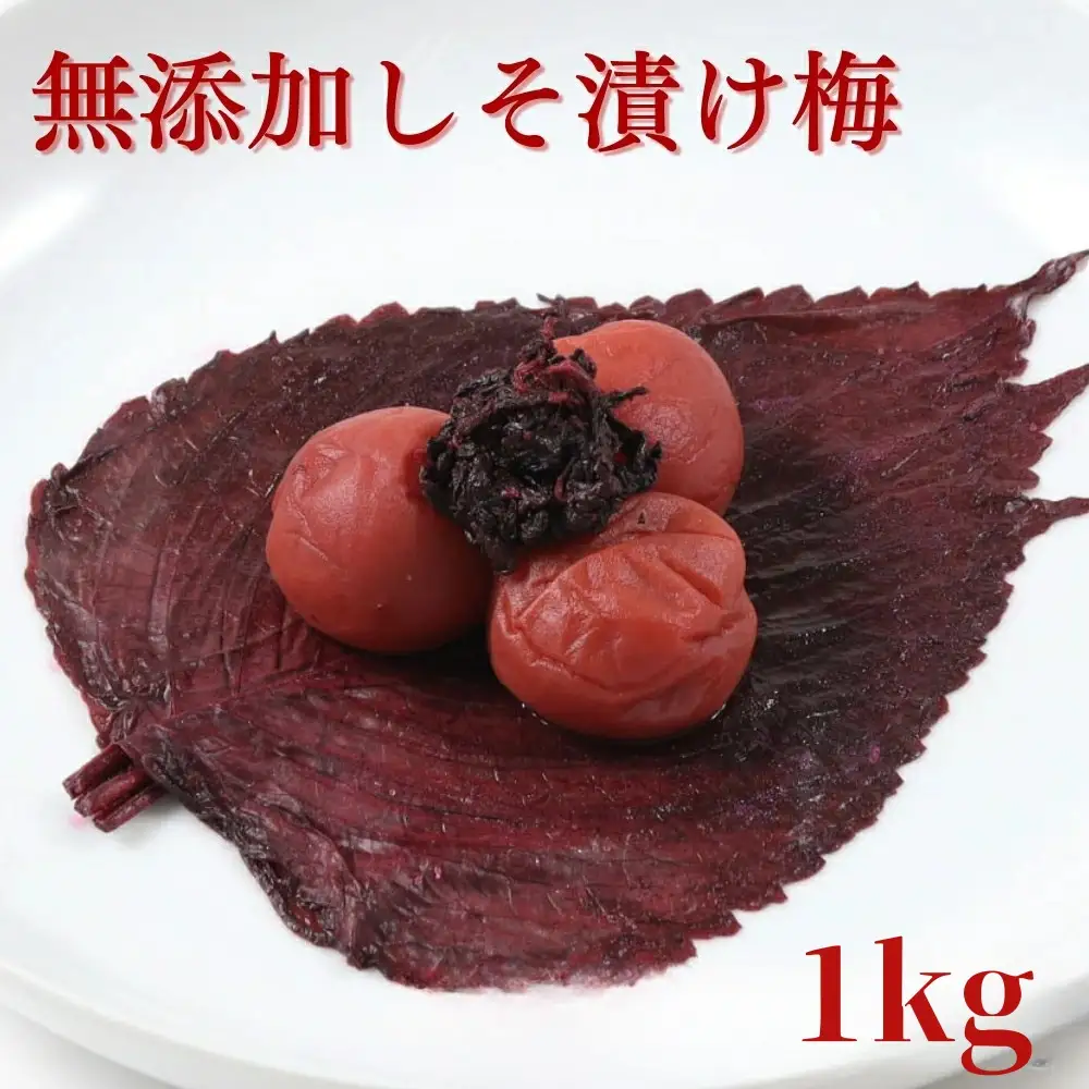ご家庭用梅干し　無添加しそ漬け梅　1kg(500g×2) / みなべ町 梅干 うめぼし ウメ しそ梅 紫蘇漬け梅 家庭用 紀州南高梅 南高梅 簡易包装 お弁当 おにぎり【mrt016A】