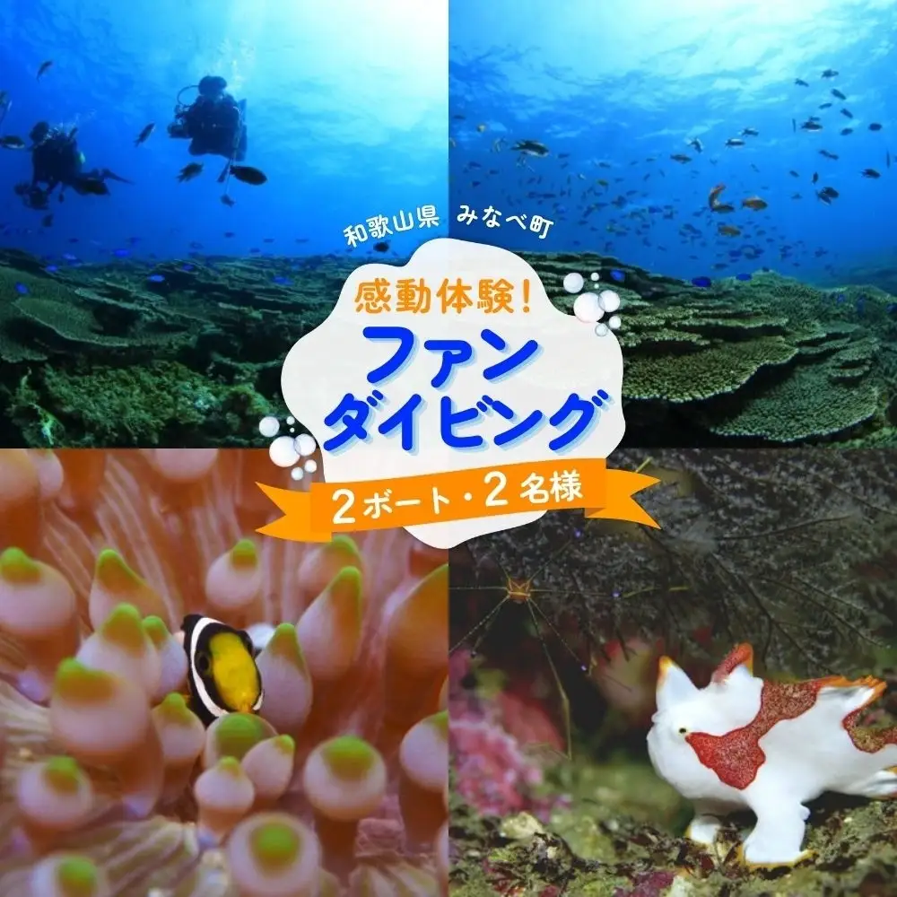 【ダイビング】和歌山県みなべ町で感動体験！サンマリン ファンダイビング（2ボート・2名様）【smr001】