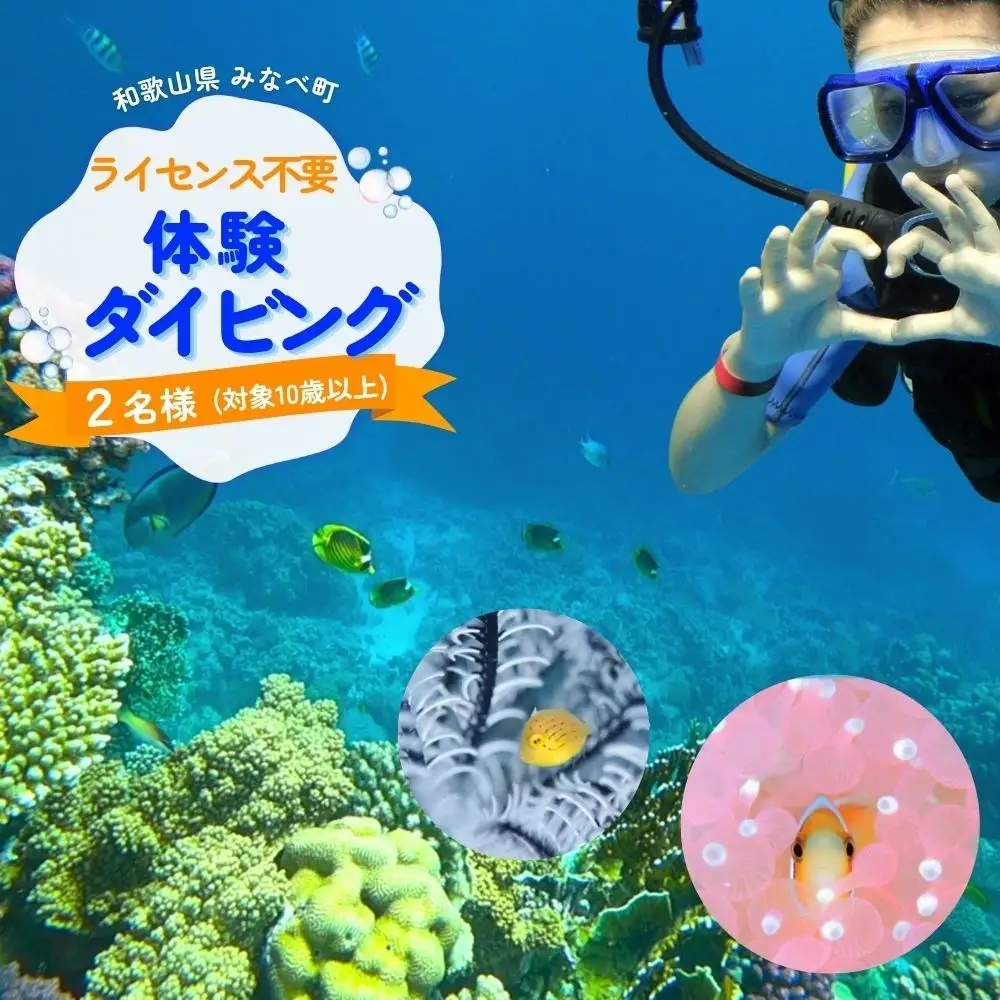  【ダイビング】ライセンス不要！感動の水中世界へ！サンマリン 体験ダイビング（2名様）【smr004】