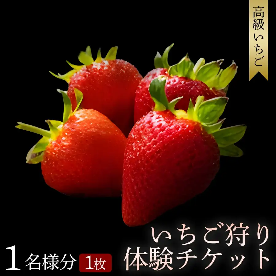 【体験】 【開催期間 2027年1月1日～5月7日】 いちご狩り体験チケット ( 1名様分) 【maato001B】