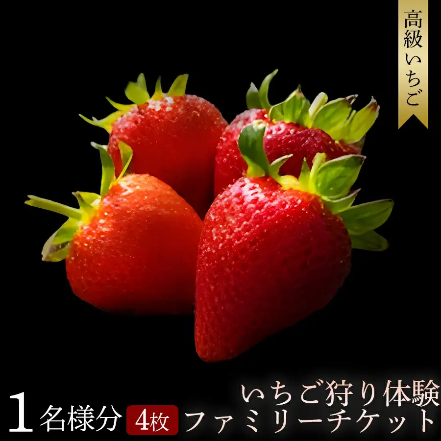 【体験】 【開催時期 2027年1月1日～2027年5月7日】 いちご狩り体験ファミリーチケット【maato003B】