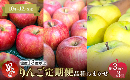りんご定期便家庭用訳あり 青森県産 りんご【約3kg×3回】【定期便】