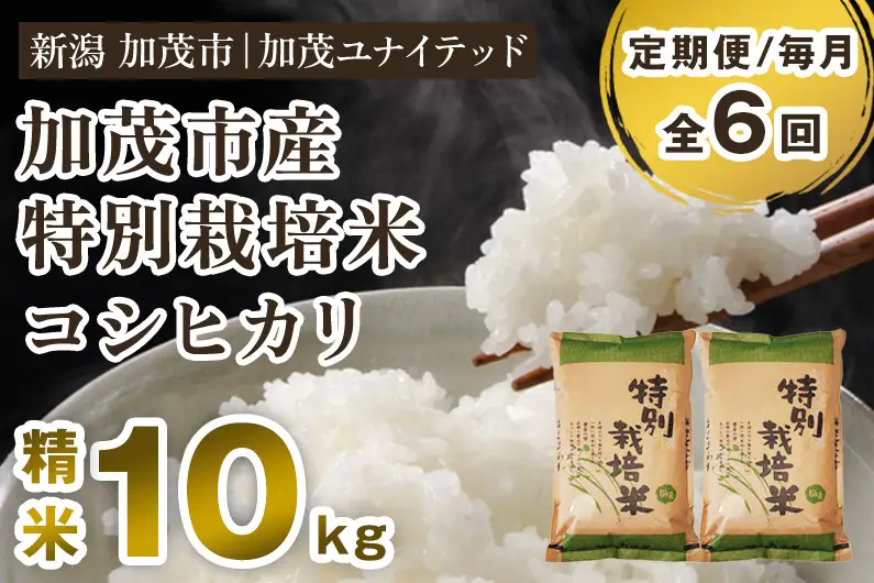 【令和8年産新米先行予約】【定期便6ヶ月毎月お届け】加茂市産 特別栽培米 コシヒカリ 精米10kg 《10月上旬～順次出荷》 栽培期間中は化学肥料・農薬不使用 新潟米 お米 白米 こしひかり 加茂ユナイテッド 