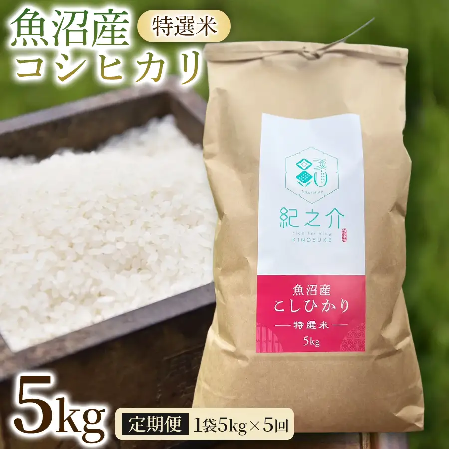 【令和8年産先行予約】【5ヶ月定期便】魚沼産コシヒカリ 特選米 5kg(5kg×1袋) | 津南町 魚沼