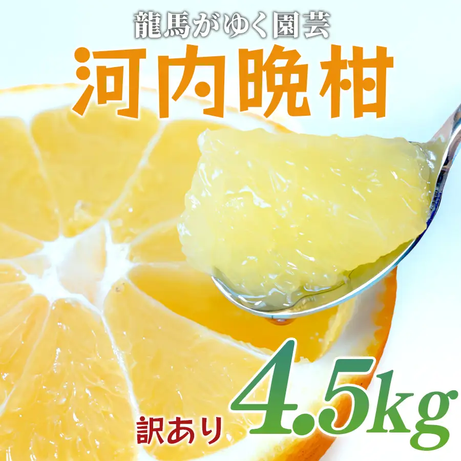 【訳あり】 河内晩柑 4.5kg （M-5L） ばんかん 晩柑 夏文旦 家庭用 みかん 柑橘