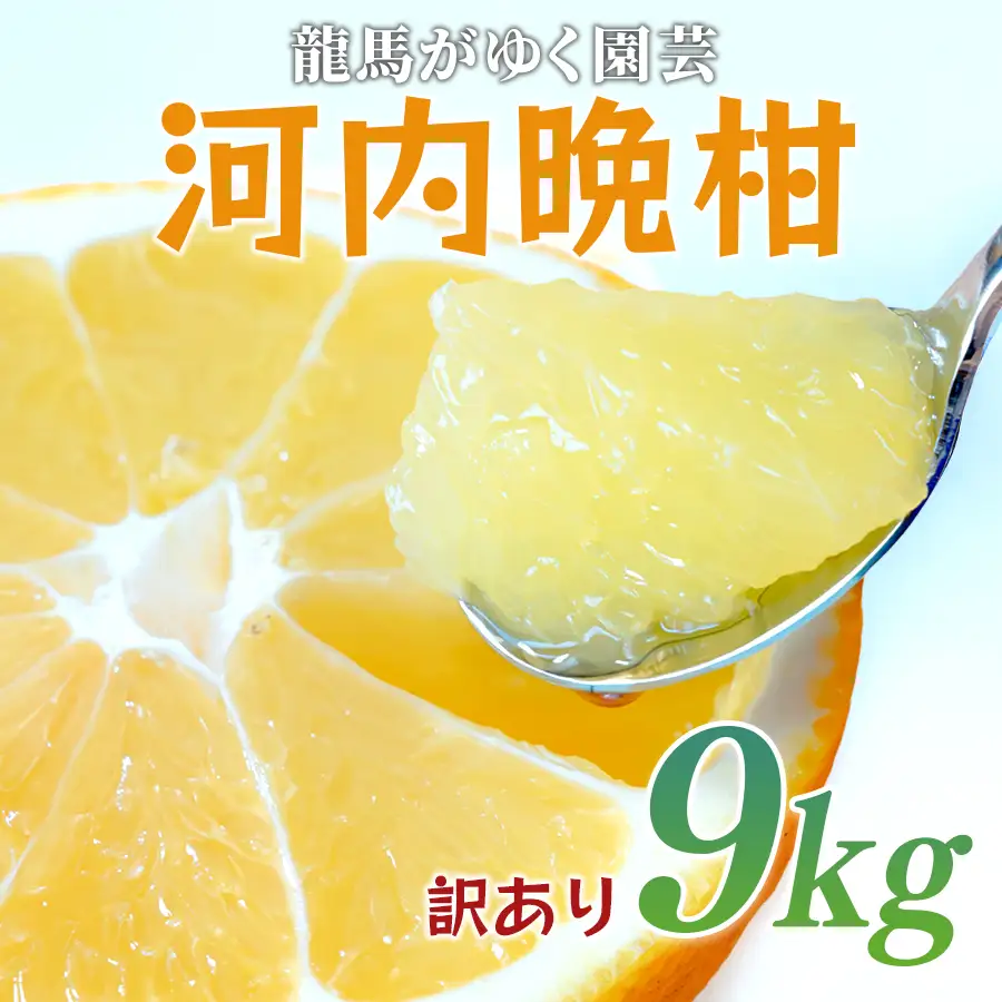 【訳あり】 河内晩柑 9kg (M-5L) 大容量 ばんかん 晩柑 夏文旦 家庭用 みかん 柑橘