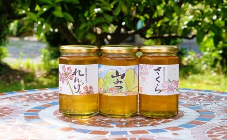 はちみつ 国産 天然 純はちみつ 370g×3本セット やまみつ＆さくら＆れんげ ハチミツ 蜂蜜 
