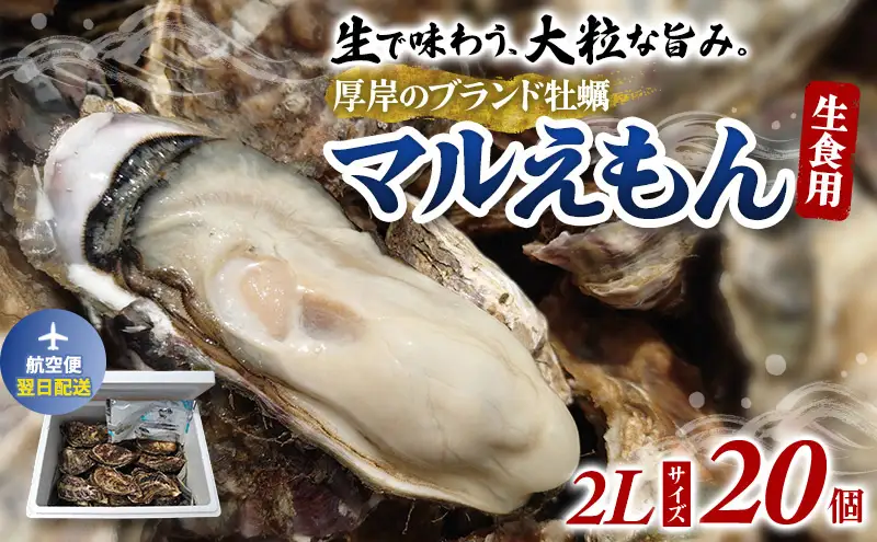 [翌日配送]厚岸産牡蠣 マルえもん 2Lサイズ 20個 ブランド牡蠣