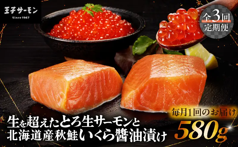 【全3回定期便（毎月）】【王子サーモン】生を超えた「とろ生サーモン」と北海道産秋鮭 いくら醤油漬セット 計580g T041-T01-01 定期便 定期 魚