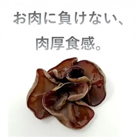 生きくらげ　300g×3セット　沖縄県北中城村産【配送不可地域：離島】【1695029】