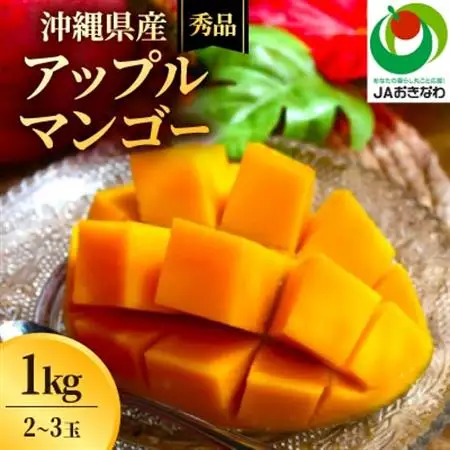 【2027年7月上旬から順次発送・贈答用】JAおきなわ厳選 秀品アップルマンゴー1kg(2～3玉)【配送不可地域：離島】【1724299】