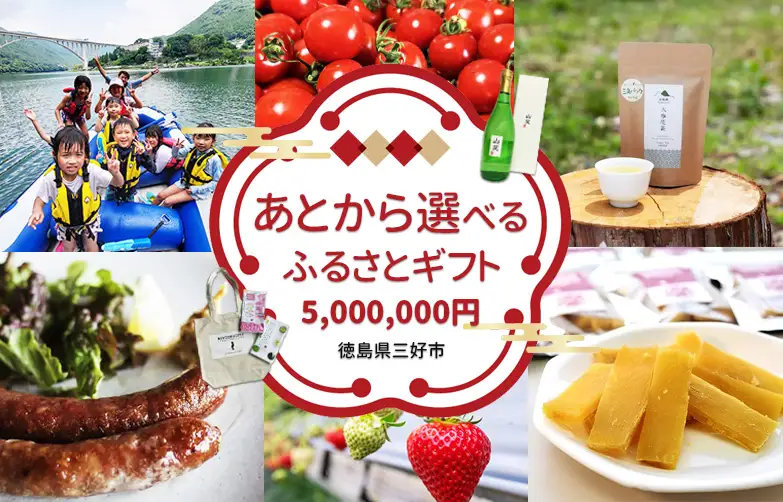 【 徳島県 三好市 】あとから選べる カタログ 寄附 500万円コース 【 寄附 】