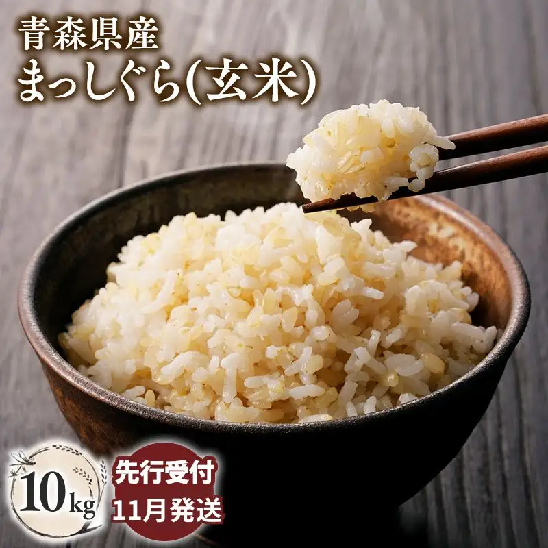 ≪令和8年産 先行予約≫まっしぐら10kg(玄米)【hi-0062-014-11】