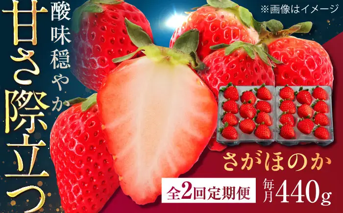 【2回定期便】佐賀県産イチゴ「さがほのか」約440g（220g×2パック） /有限会社しげやす[UEQ007]